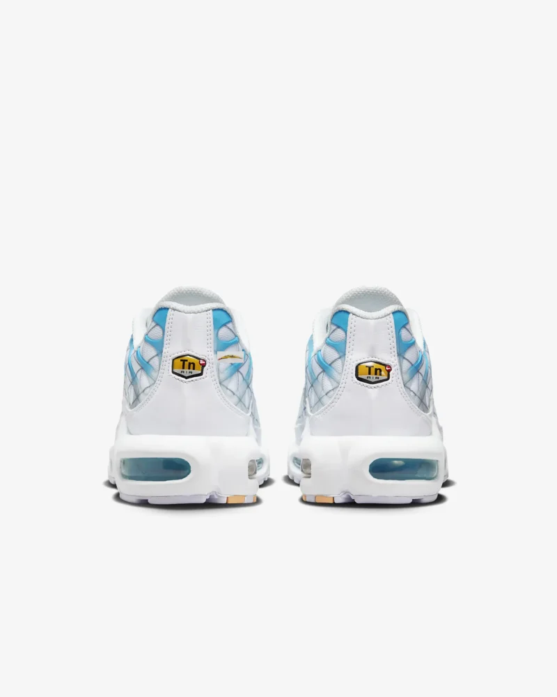 NIKE AIR MAX TN «BLUE FURY»